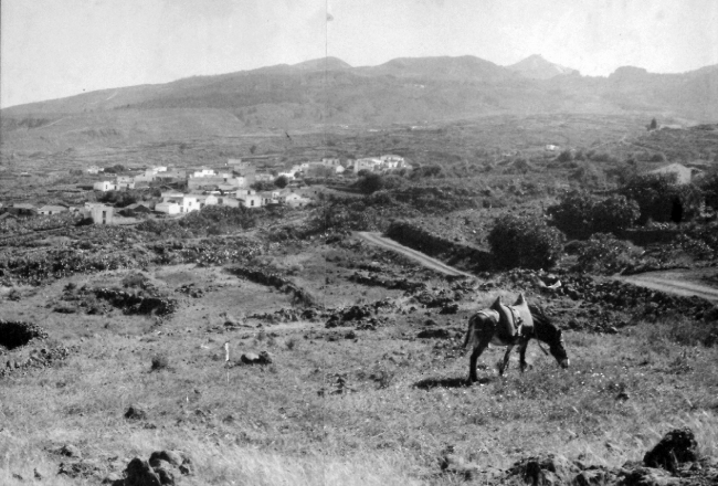 Adeje. Taucho. Fondo Fotográfico Ayuntamiento de Adeje